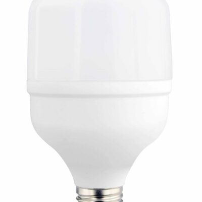 LED pirn E27 T80 24W