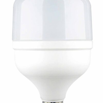 LED pirn E27 T100 30W