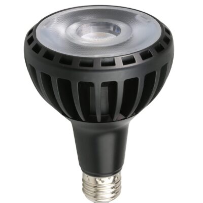 LED pirn PAR30 E27