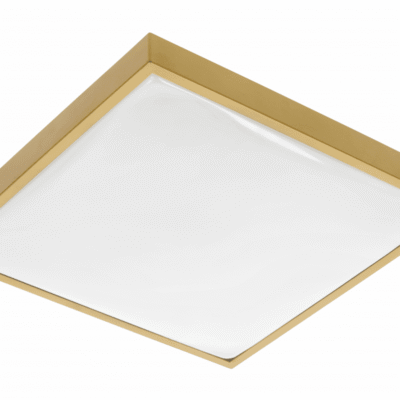 ALTAR LED laevalgusti, 295x295mm, 4000K, 24W, 1680lm, AC180-250V, 50/60 Hz, PF>0.5, IP44, kuldne