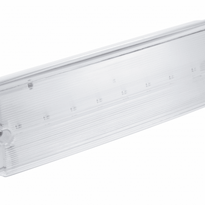 Avariivalgusti TERNO-3 LED, 3W, 250lm, AC220-240V, 50-60Hz, IP65, 3h, 6400K, kahekordne otstarve, TEST nupp