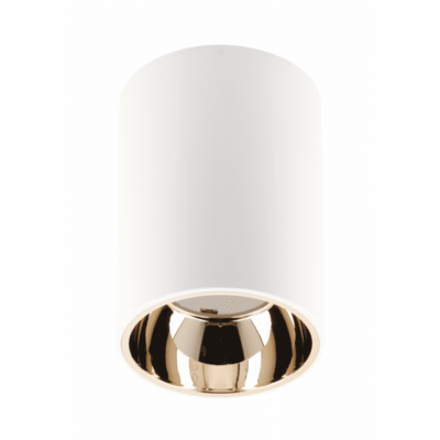 Laevalgusti ARIES, PC, 73x105mm, IP20, max 20W, ümmargune, valge/kuld