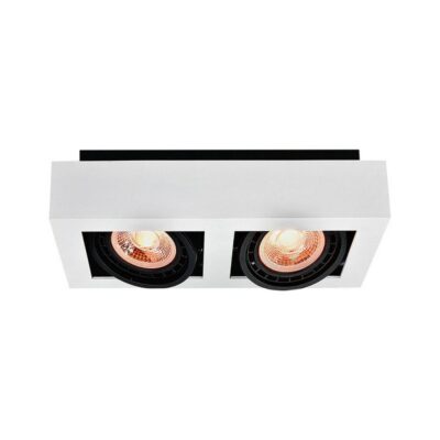 Laevalgusti Loid, 4663, AC220-240V, 50/60 Hz, IP 20, 2* GU10, ES111, valge