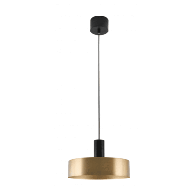 Laevalgusti Selvia II, 6072, max. 250V, 50/60Hz, 1*E27, max. 40 W, IP20, diameeter 30 cm, kuld-must