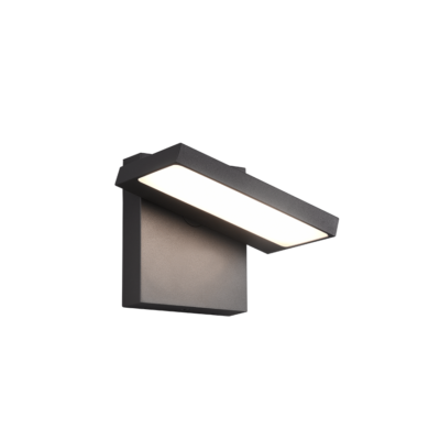 Seinavalgusti HORTON LED antratsiit