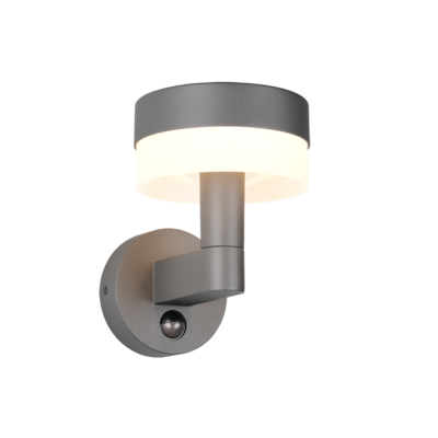 Seinavalgusti LED antratsiit/valge liikumisandur