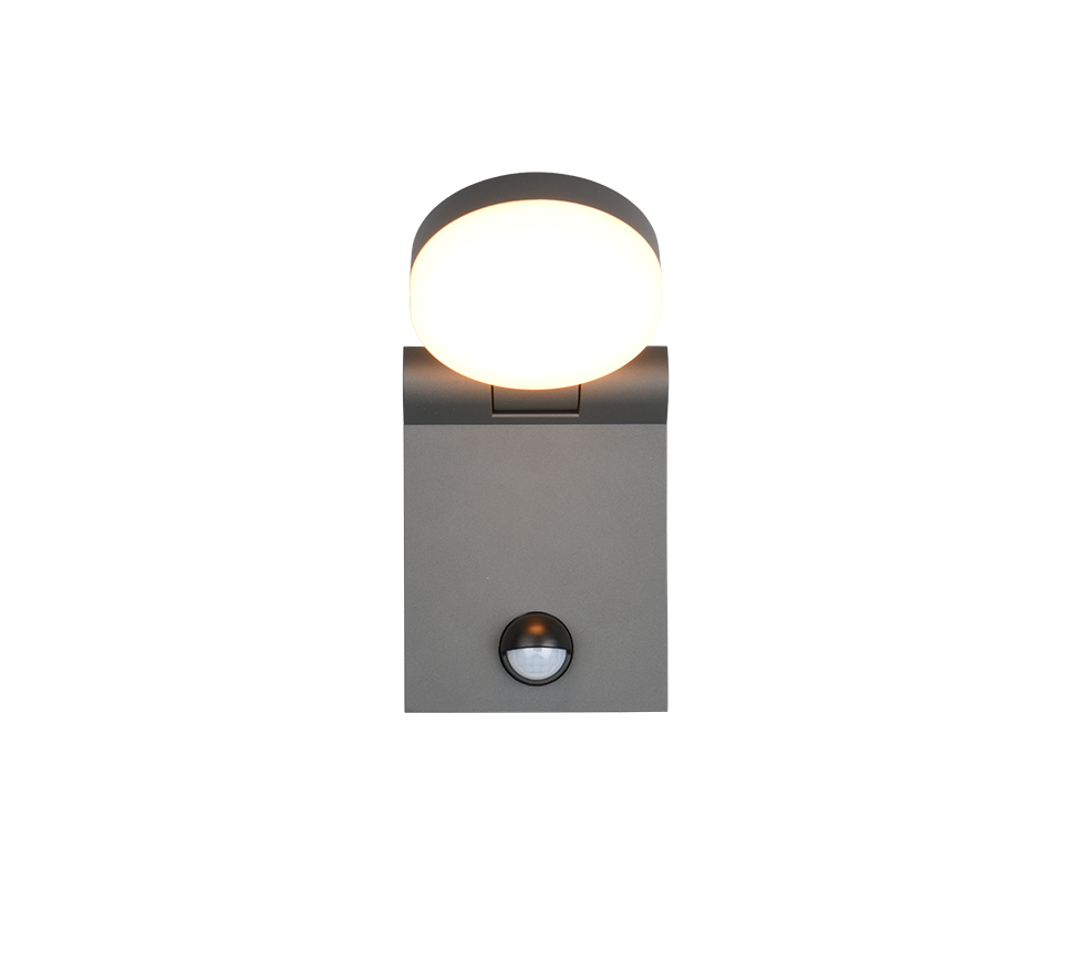 Seinavalgusti LED antratsiit andur - Image 6