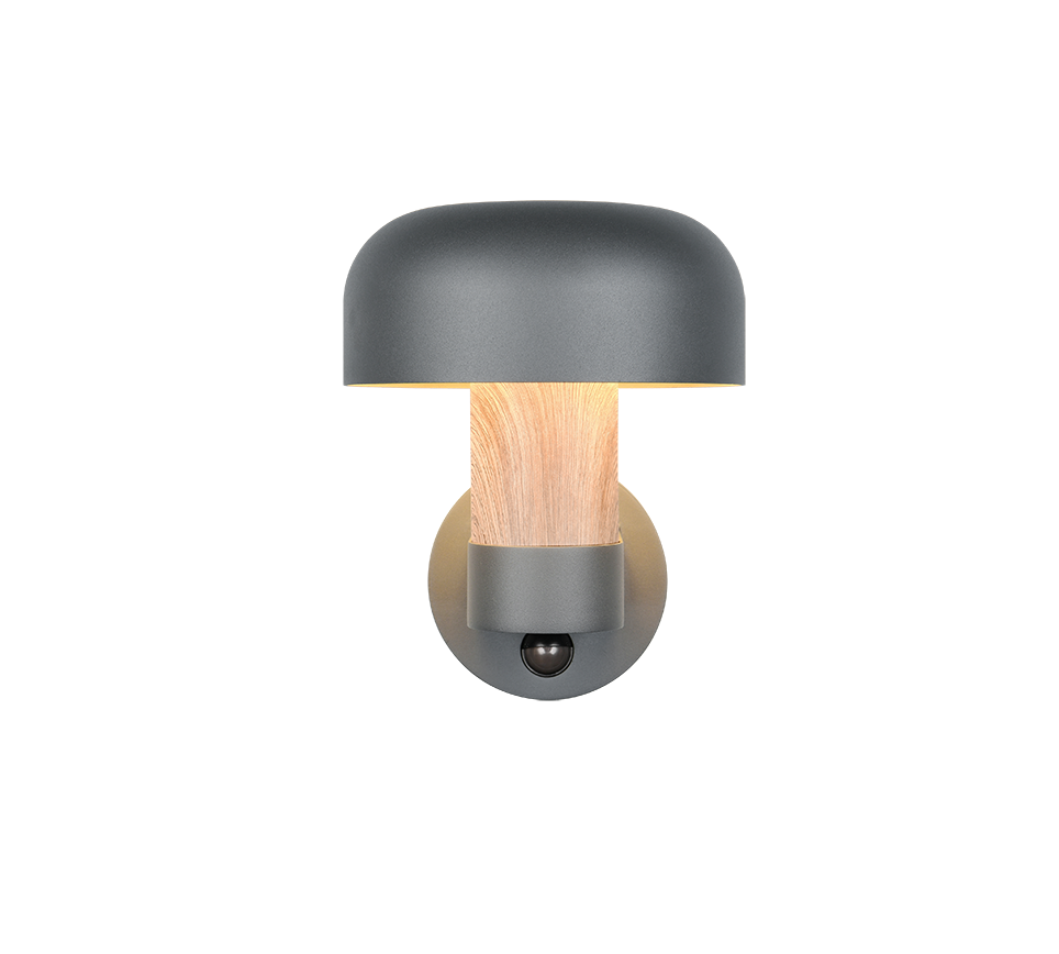 Seinavalgusti E27 antratsiit/puit liikumisanduriga - Image 2