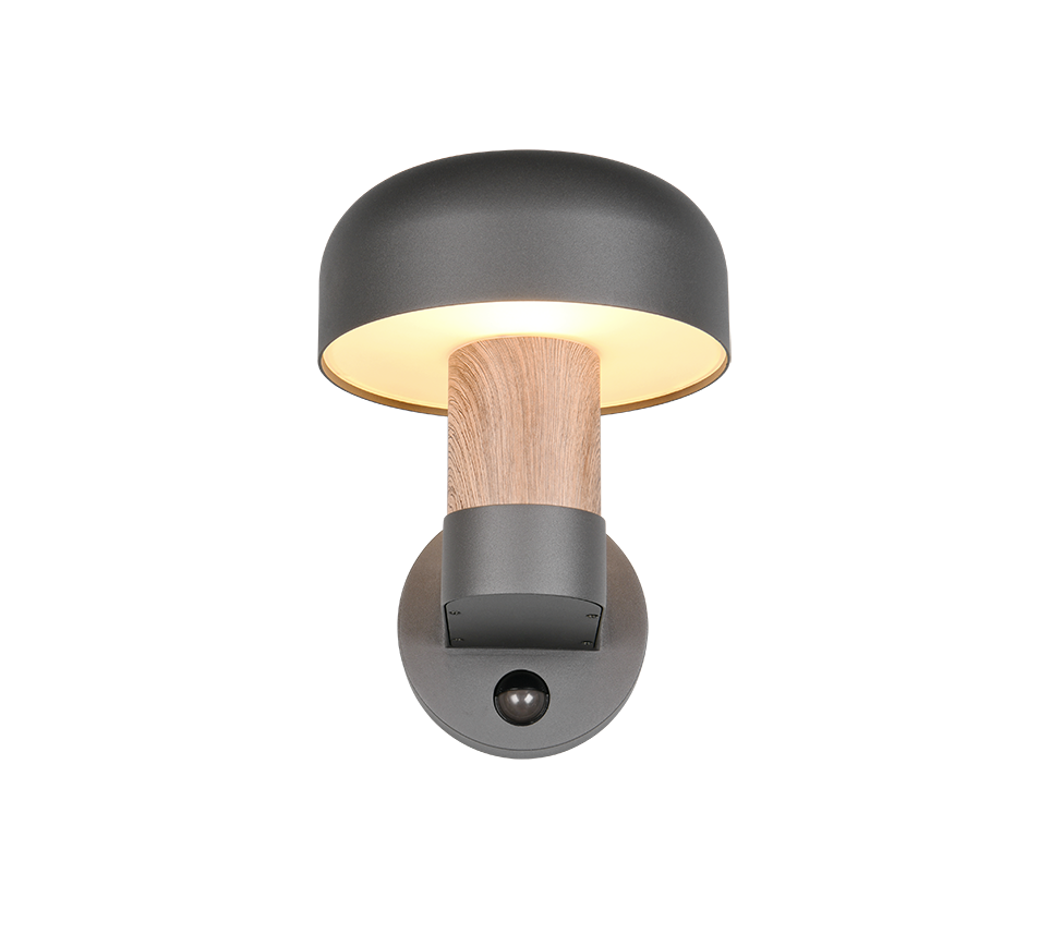 Seinavalgusti E27 antratsiit/puit liikumisanduriga - Image 5