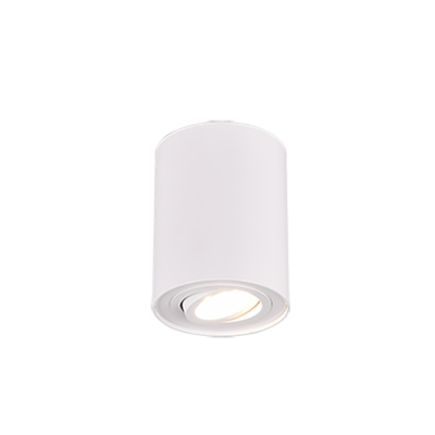 Laevalgusti 1 tk GU10 matt valge