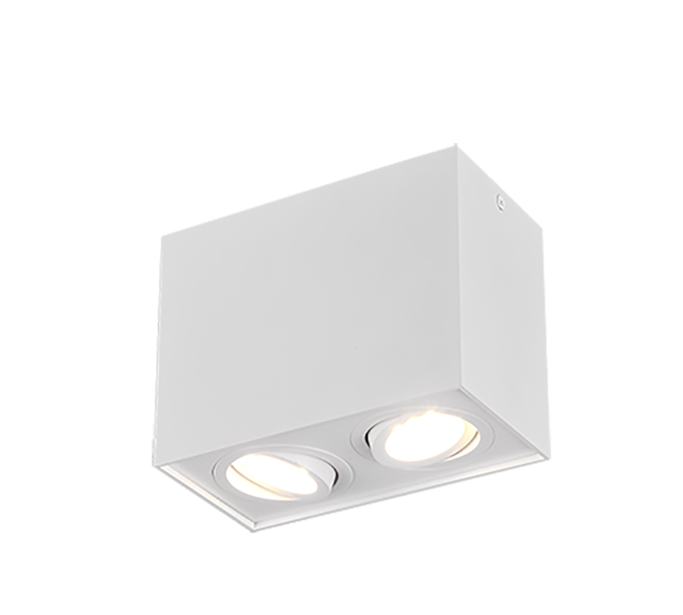 Laevalgusti 2 tk GU10 matt valge