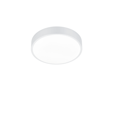 Laevalgusti Waco LED 30 cm matt valge
