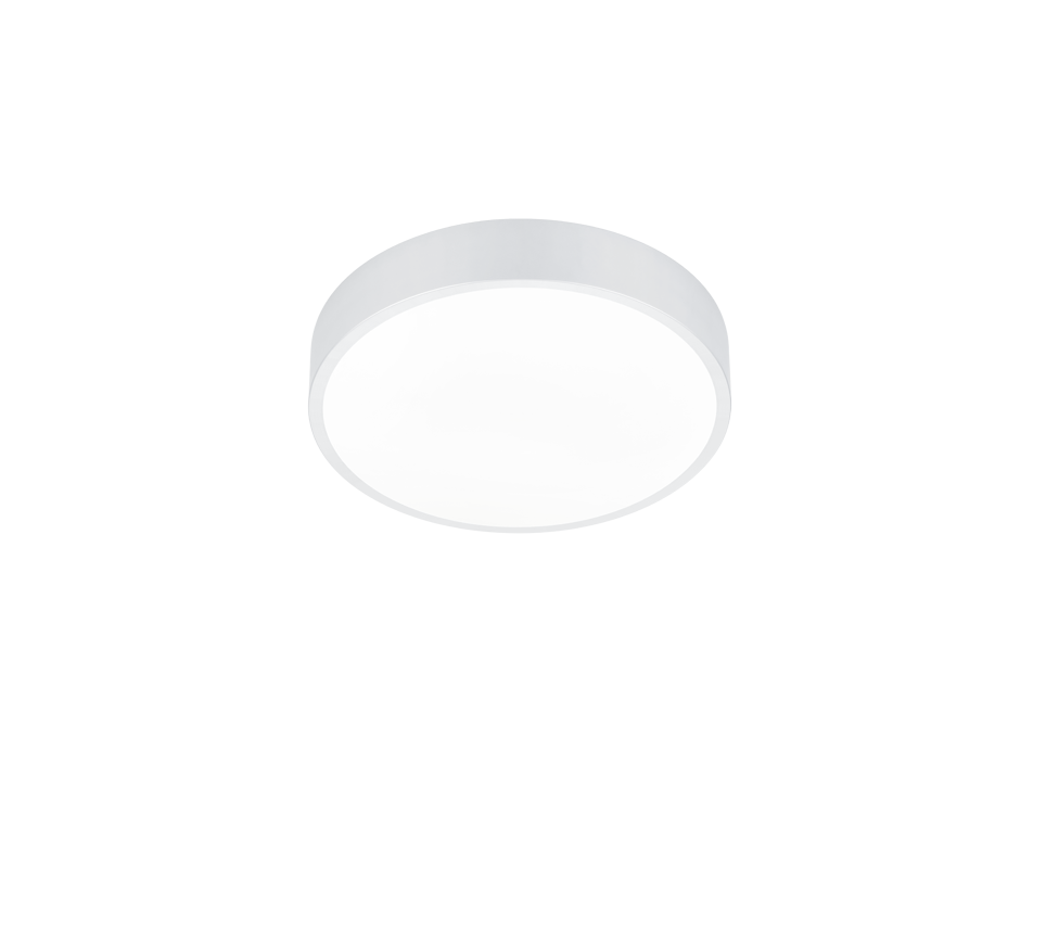 Laevalgusti Waco LED 30 cm matt valge