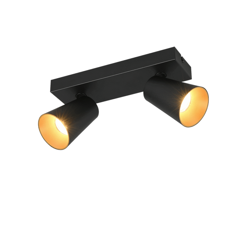 Kohtvalgusti 2 tk GU10 matt must/kuld