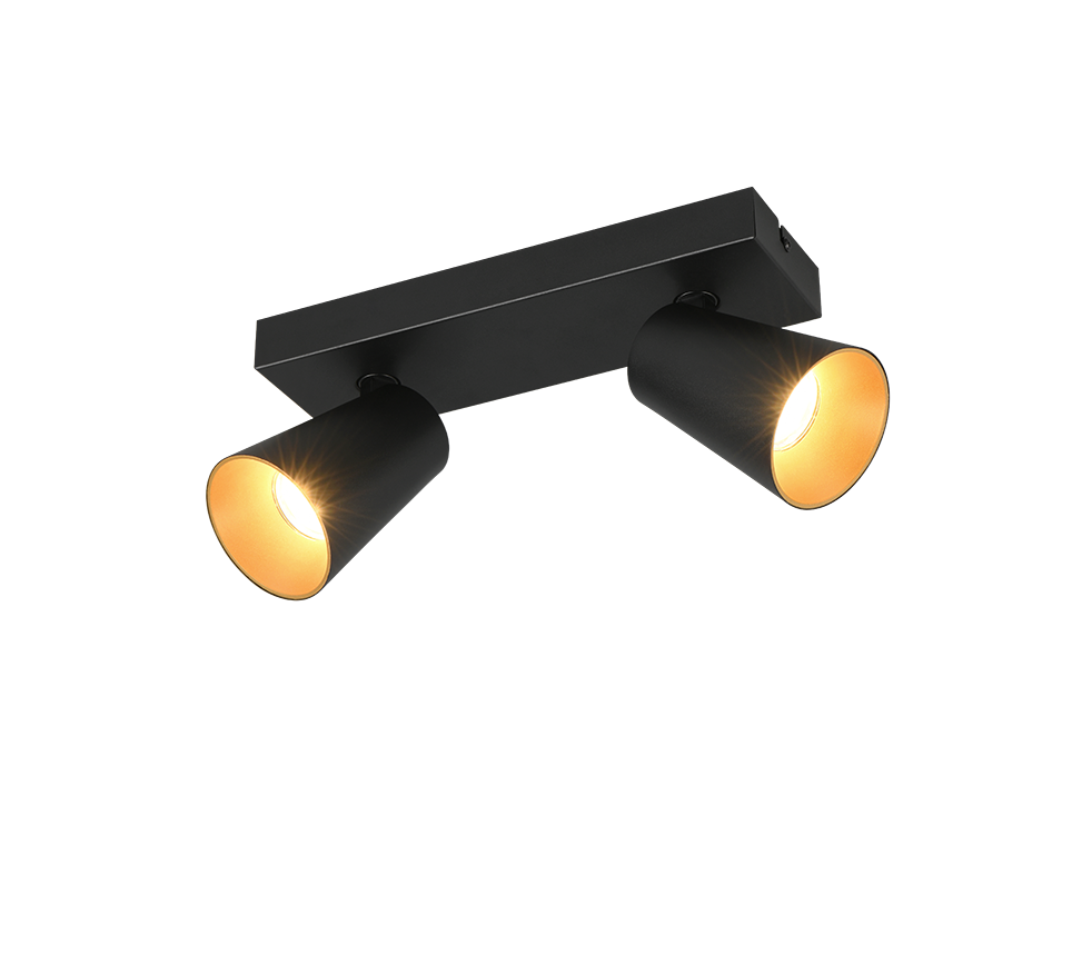 Kohtvalgusti 2 tk GU10 matt must/kuld