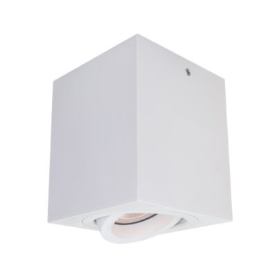 Italux valge seinavalgusti Emilio, 50W