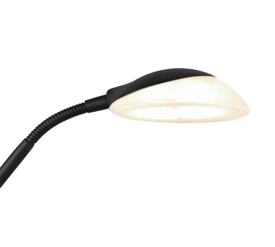 Orson LED põrandavalgusti must - Image 3