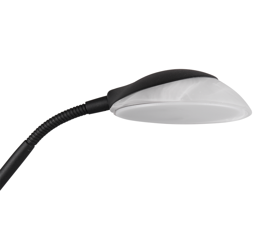 Orson LED põrandavalgusti must - Image 7