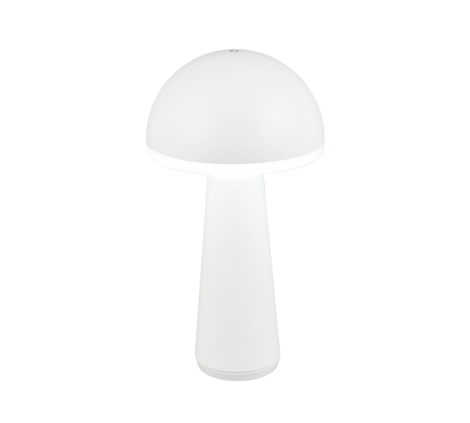 Fungo LED laualamp matt valge laaditav - Image 10