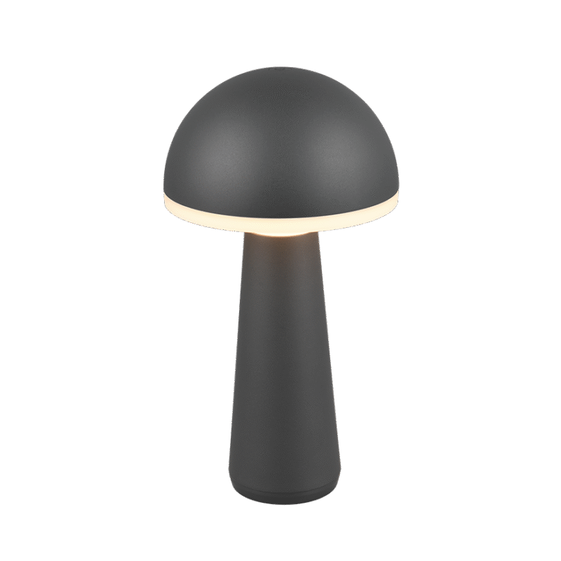 Fungo LED laualamp antratsiit laaditav