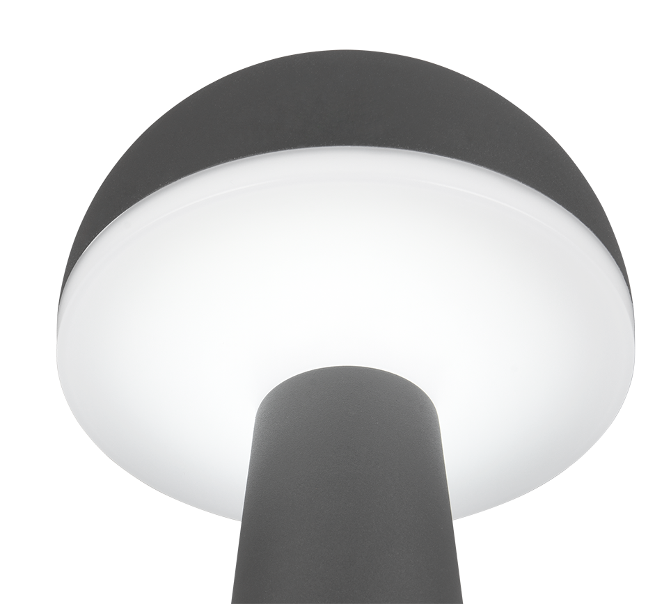 Fungo LED laualamp antratsiit laaditav - Image 8