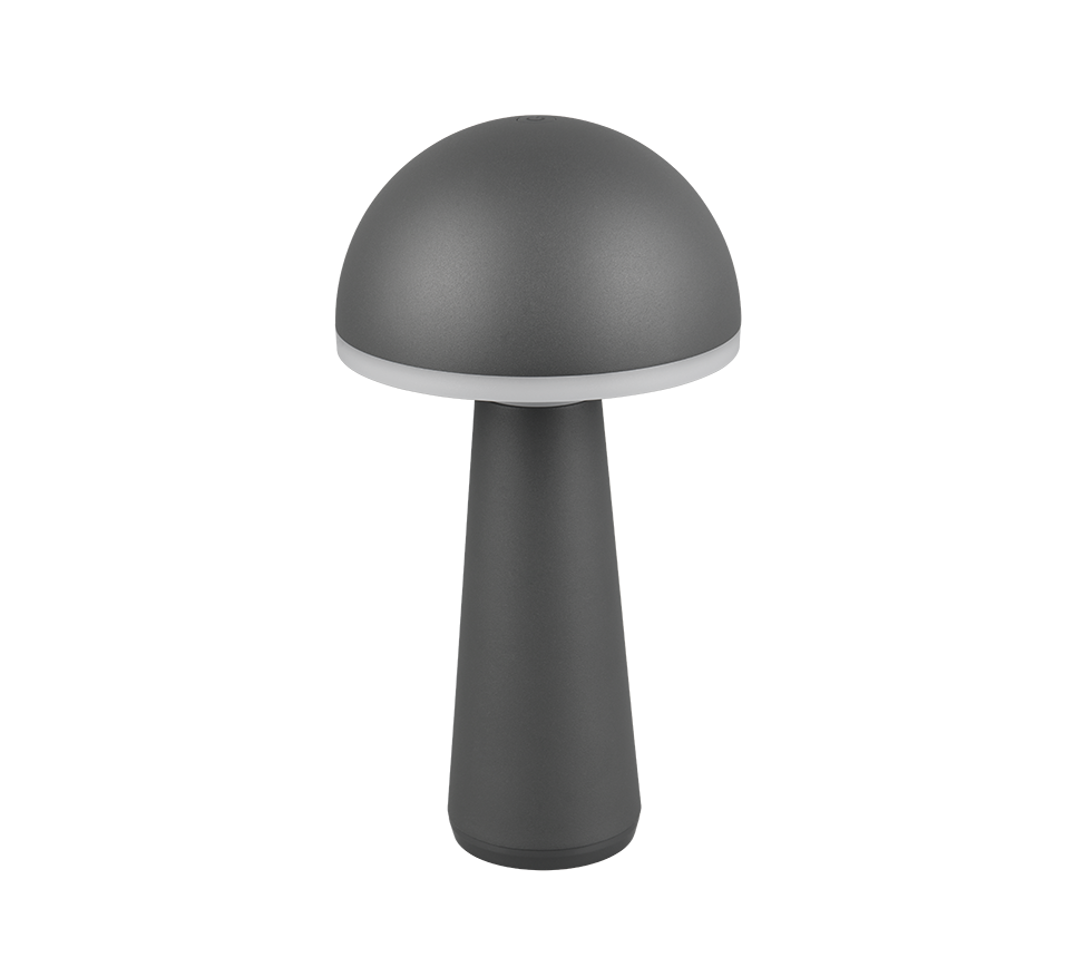 Fungo LED laualamp antratsiit laaditav - Image 7