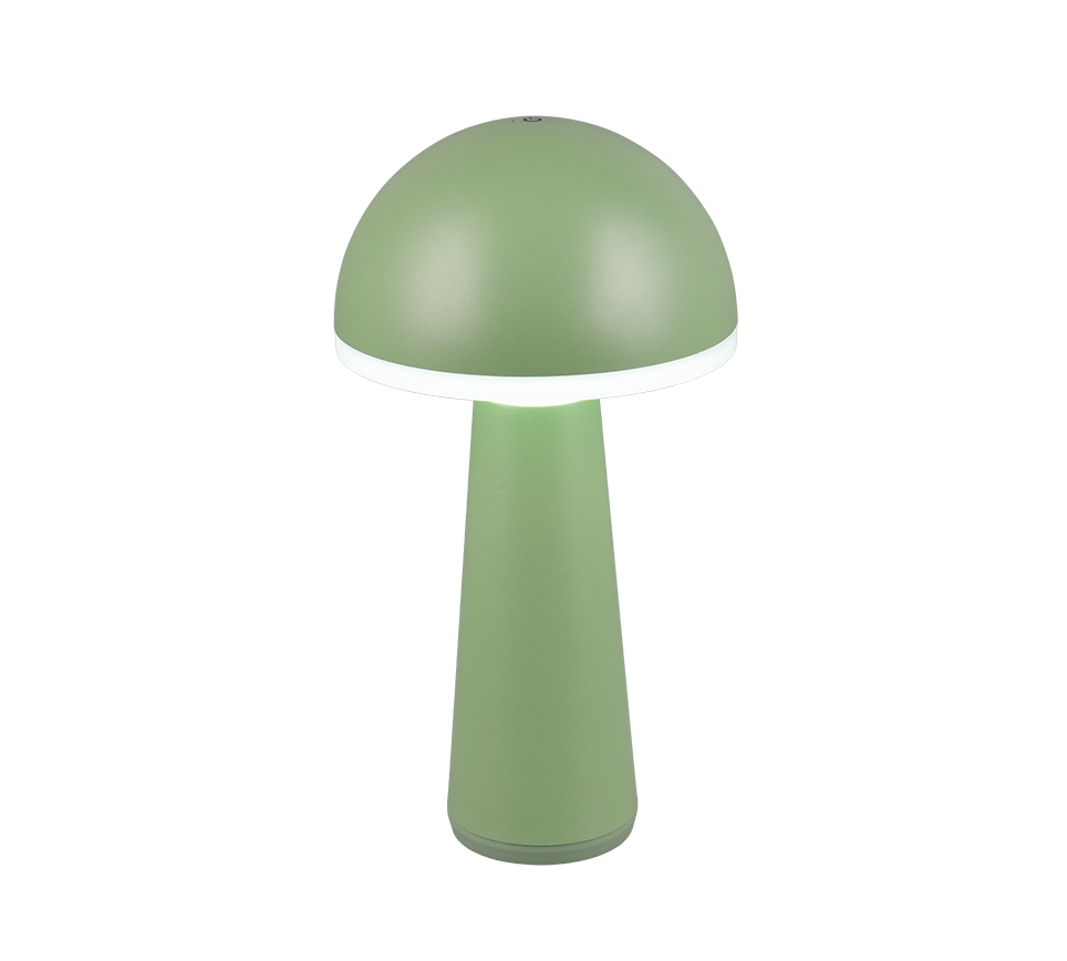 Fungo LED laualamp pistatsio laaditav - Image 6