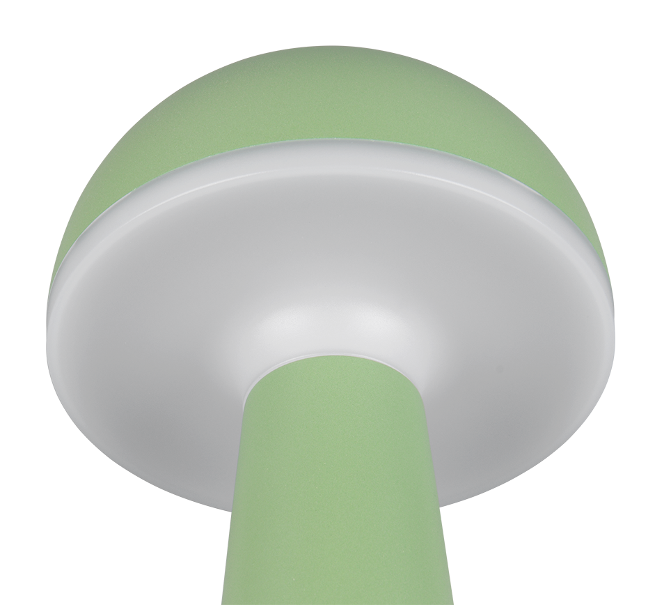 Fungo LED laualamp pistatsio laaditav - Image 9