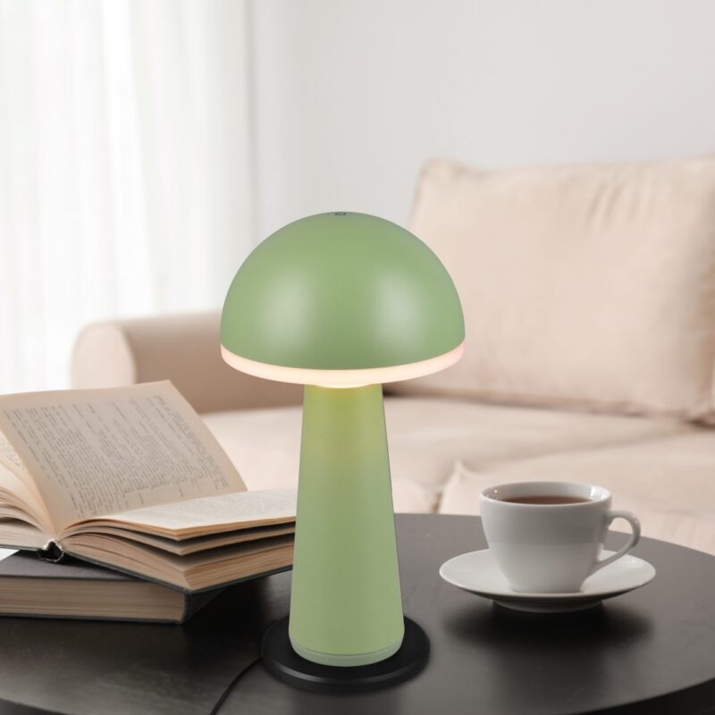 Fungo LED laualamp pistatsio laaditav