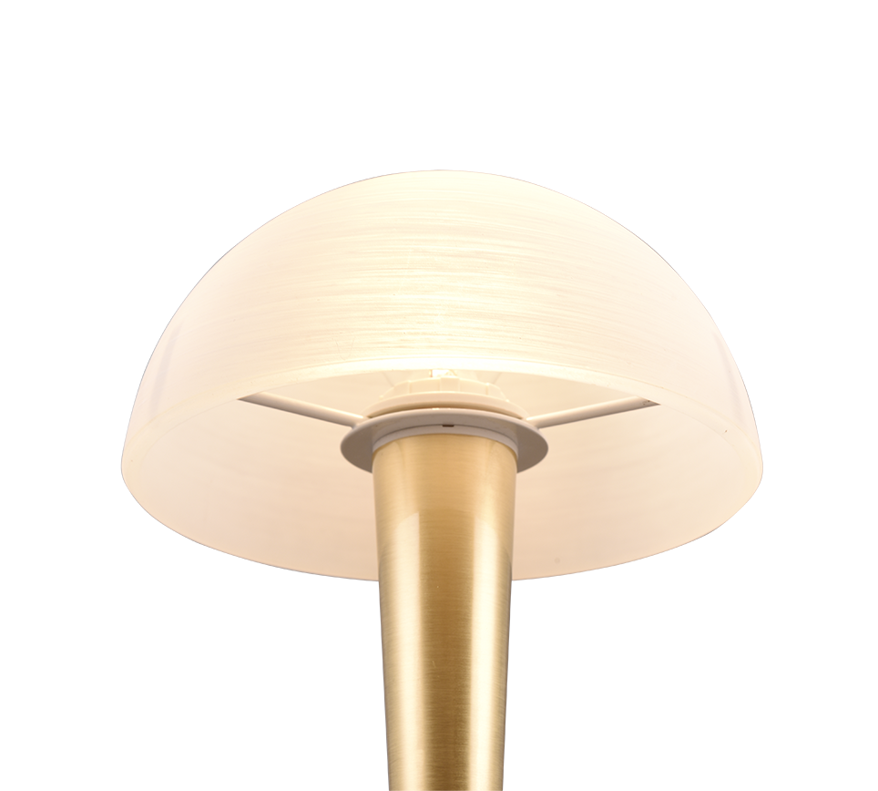 Canaria lauavalgusti E14 (kaasa arvatud) matt messing - Image 2