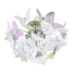 Laevalgusti LED 60 cm must matte - <span class="woocommerce-Price-amount amount"><bdi>184.00 <span class="woocommerce-Price-currencySymbol">€</span></bdi></span> - Kodu