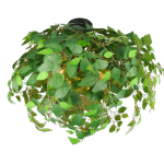 Pärl LED post 100 cm antratsiit anduriga - <span class="woocommerce-Price-amount amount"><bdi>173.00 <span class="woocommerce-Price-currencySymbol">€</span></bdi></span> - Aiavalgustid