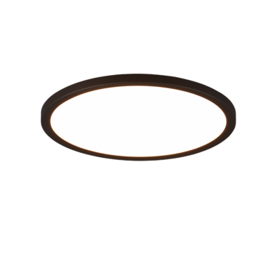 Laevalgusti Aureo LED 29 cm must RGB