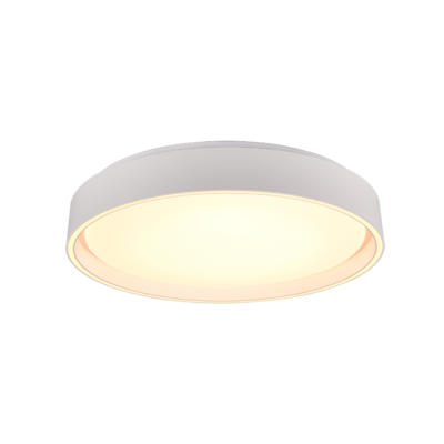 Laevalgusti LED 40 cm matt valge