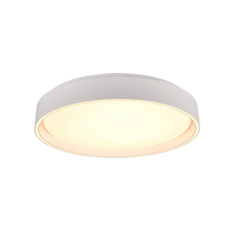 Laevalgusti LED 40 cm matt valge