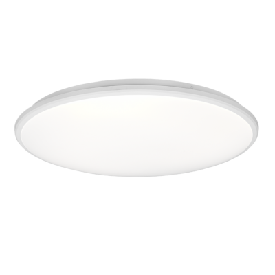 Laevalgusti Limbus LED 50 cm matt valge