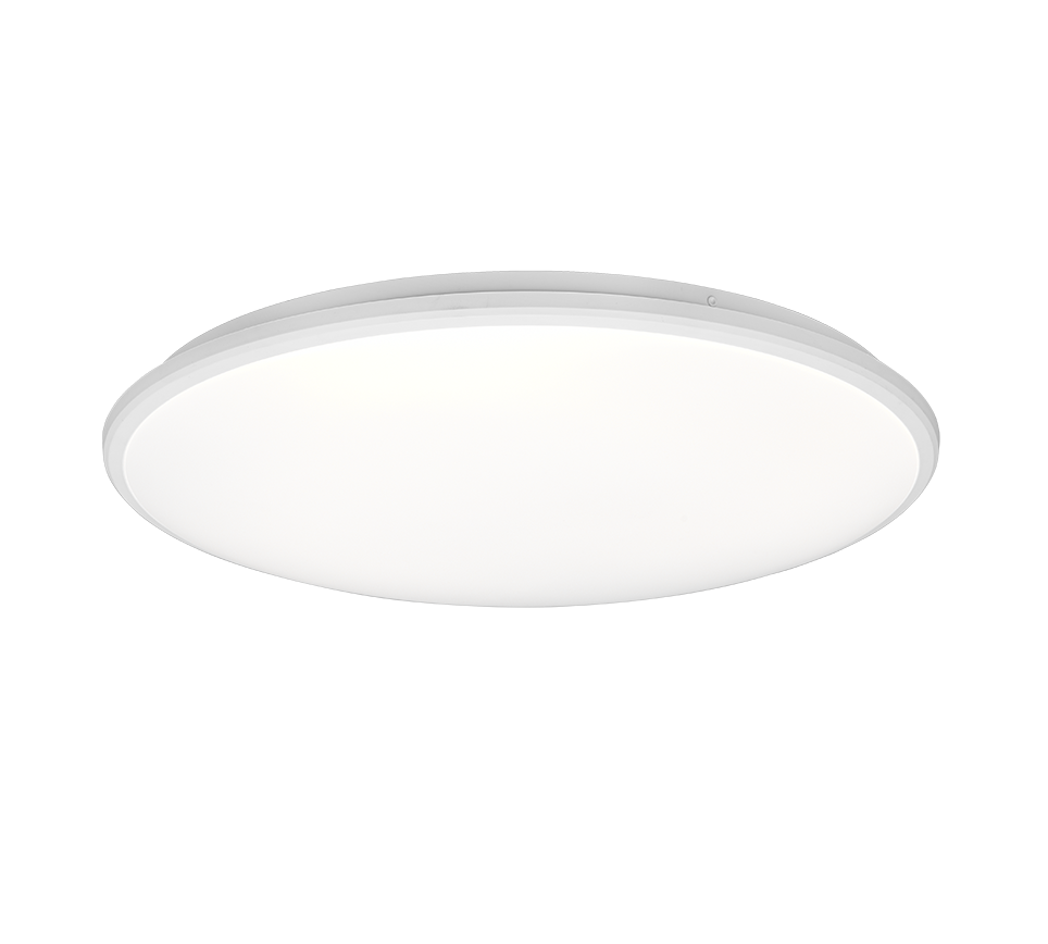Laevalgusti Limbus LED 50 cm matt valge