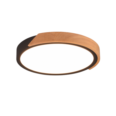 Laevalgusti Jano LED must/puit