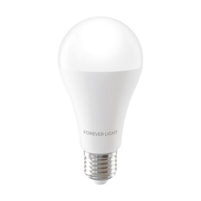 Led pirn E27 17W 4000K 2100lm
