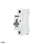 Lahklüliti 1P 63A SCHELINGER